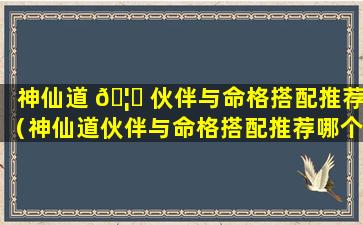 神仙道 🦁 伙伴与命格搭配推荐（神仙道伙伴与命格搭配推荐哪个）